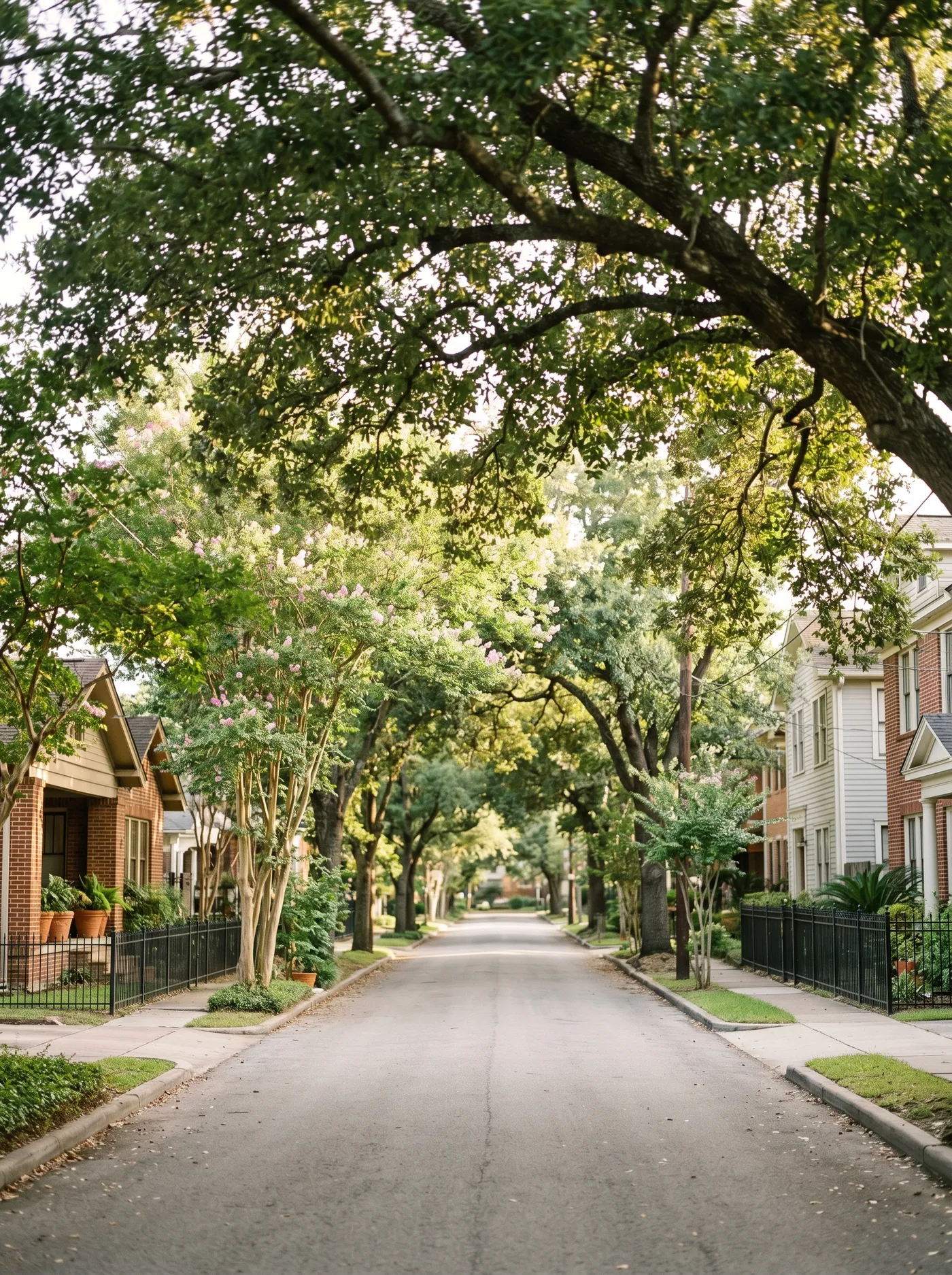 A quiet, tree-lined street in Houston's Montrose neighborhood, with mature live oaks arching over historic brick facades in warm late-afternoon light.